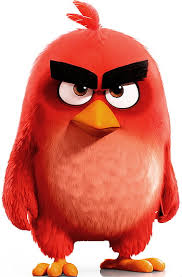 red angry birds hd wallpapers pxfuel