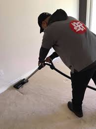 expert carpet cleaning services by