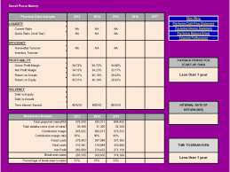 Business Budgeting Software   Forecasting   Financial Planning     SlidePlayer Complete forecasting  reporting and business budgeting tools