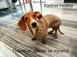 Преди да шият дрехи за кучета, трябва да премахнете някои измервания и да се отпечатат на модела. Pleteni Drehi Za Kucheta Berichten Facebook
