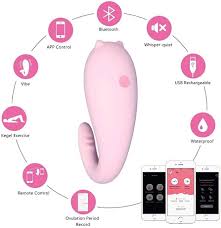 Sex Toy for Couples Men Women Female Vibrator Smart App Wireless Control  Vibrator Egg Bluetooth G-Spot Vibrator Female Sex Toy Drop Transport -  Manual Fen : Amazon.de: Health & Personal Care