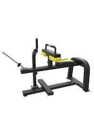 seated calf raise machine