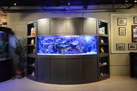 4132010 5 cool modern fish tank designs by dornob staff from conventional freshwater to tropical saltwater species fish can be a fun way to add some life to your living room but with these cool. Modern Fish Tanks Living Room Ideas Photos Houzz