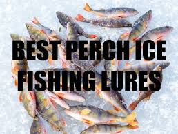 Pin On Ice Fishing Perch