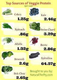 Vegetable Juicing Recipes Veggie Protein Sources Chart
