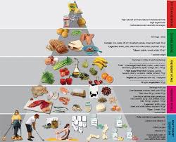 The Bariatric Food Pyramid Dr Sharmas Obesity Notes