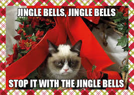 Image result for cats singing jingle bells