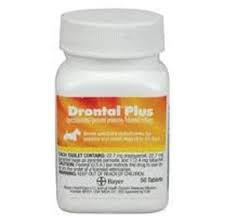 Drontal Plus 22 7mg For Small Dogs 2 To 25 Lbs 50 Tablets