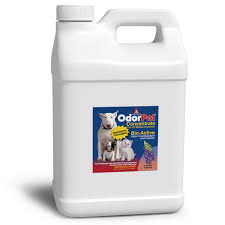 odorpet concentrate stain and pet odor