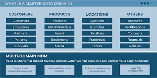 Mdm 101 What Is Master Data Profisee
