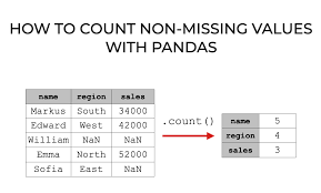 pandas count of each unique values in