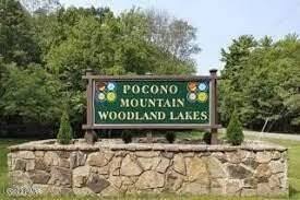 pocono woodland lakes pa real estate