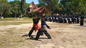 Mulai dari silat karate judo dan masih banyakilmu bela diri lainnya. Infopublik Lestarikan Budaya Pencak Silat Nusantara Melalui Ajaran Psht