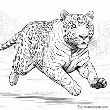 jaguar coloring pages free printable