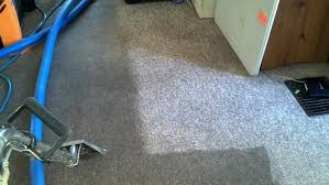 mw carpet cleaning unlimited reviews