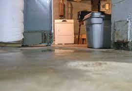 9 Signs Your Damp Basement Is A Serious