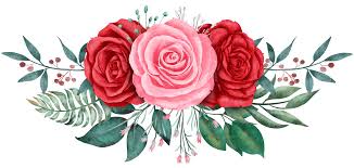 rose flower bouquet watercolor for