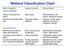 Wetland Ecology Ppt Video Online Download