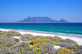 14 best beaches in cape town planetware