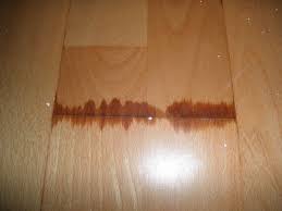 Water In Engineered Wood Floor