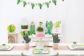 cactus succulent themed party ideas