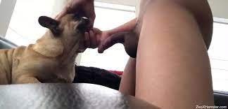 Dude uses his cock to dominate a dog's throat