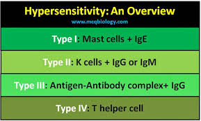Summary Of Hypersensitivity A Simple Chart To Remember