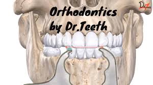 Moyers Mixed Dentition Analysis Orthodontics