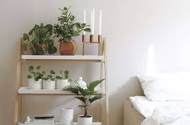 10 Easy Pieces Stepladder Plant Stands