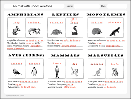 Animal Classification Chart 1 Answers Studyladder