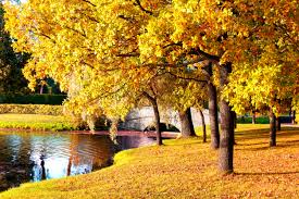Hogyan készíthetünk fantasztikus őszi fotókat - Fotósuli
