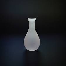Frosted Glass Vase Apollobox