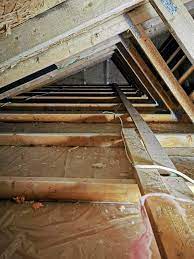 How To Prevent And Remove Mold From Attics