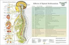 Autonomic Nervous System Spinal Subluxation Symptoms Poster