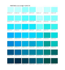 Color Of Turquoise Linksite Co