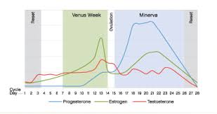 Menstrual Cycle And Acne What Your Hormones Are Doing That