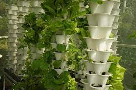vertical urban farming gardening