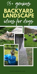 Here is our list of trees you can incorporate into your landscaping design that will completely homeowners value backyard privacy for various reasons, but it's especially crucial between houses and yards in subdivisions. 24 Great Dog Friendly Backyard Landscaping Ideas Designs For 2021
