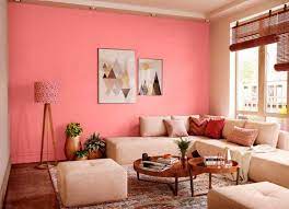 Guava Pink N 9992 House Wall Painting