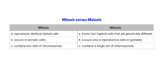 Design And Complete A Table To Compare And Contrast Meiosis