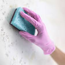 how to get rid of mold on walls it s