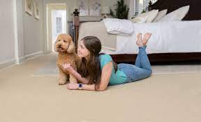professional carpet cleaning in federal