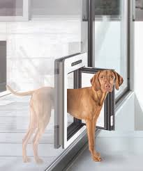 A Passive House Door For Pets