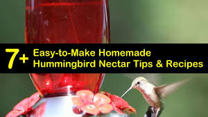 homemade hummingbird nectar