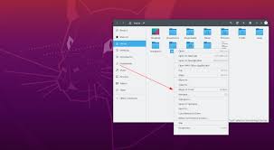 ubuntu remove directory from terminal