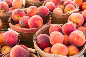 mid pride peaches harvest to home