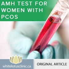 Amh An Important Hormone Test For Women With Pcos