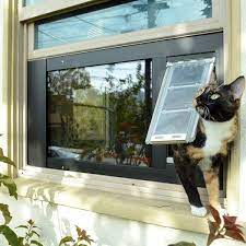 best cat door for windows durable cat