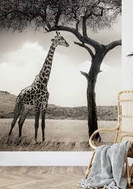 Giraffe Safari Wall Mural 5084 4