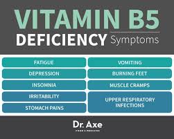 Pantothenic Acid Vitamin B5 Deficiency Symptoms Chart
